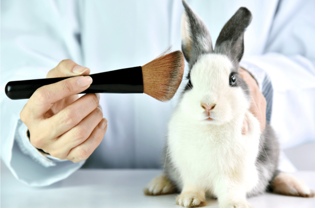 cruelty free beauty products